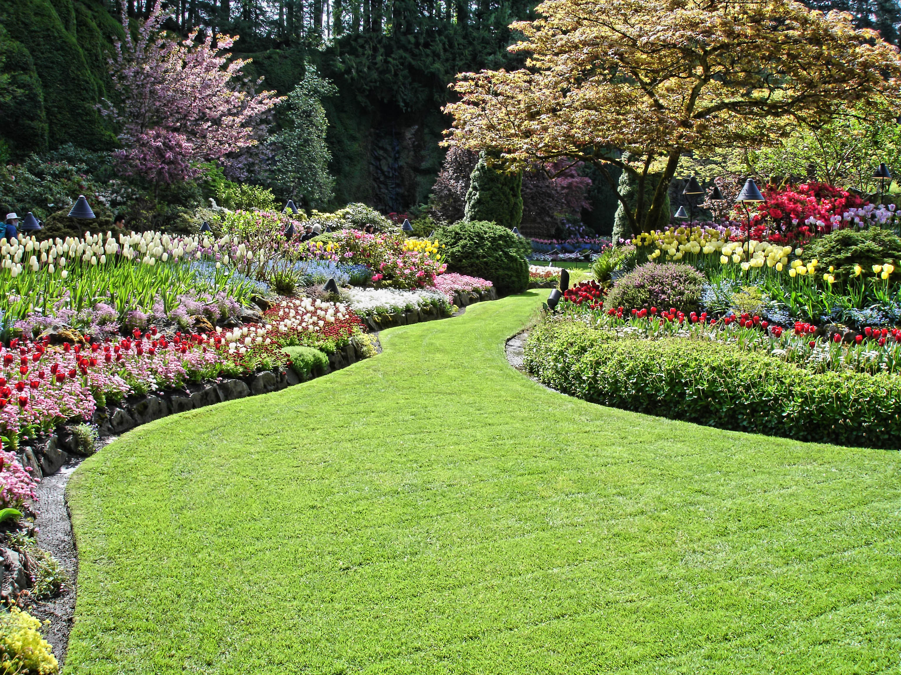 Landscaping & Maintenance